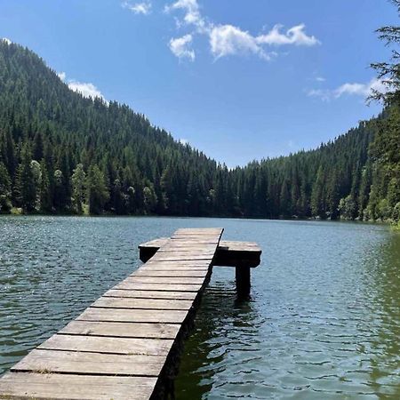 Grebenzen Lodge 51A Sankt Lambrecht Zewnętrze zdjęcie